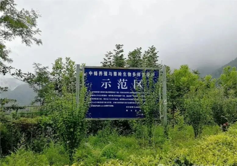 原文相关图片3