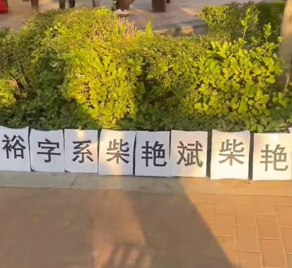 原文相关图片1